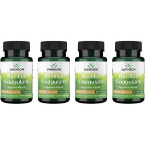 Swanson Bacillus Coagulans – Natural Probiotic Supplement Supporting Digestive Health w/ 6 Billion CFU – May Support GI & Overall Gut Health – (60 Veggie Capsules)(60 Count (Pack of 4))