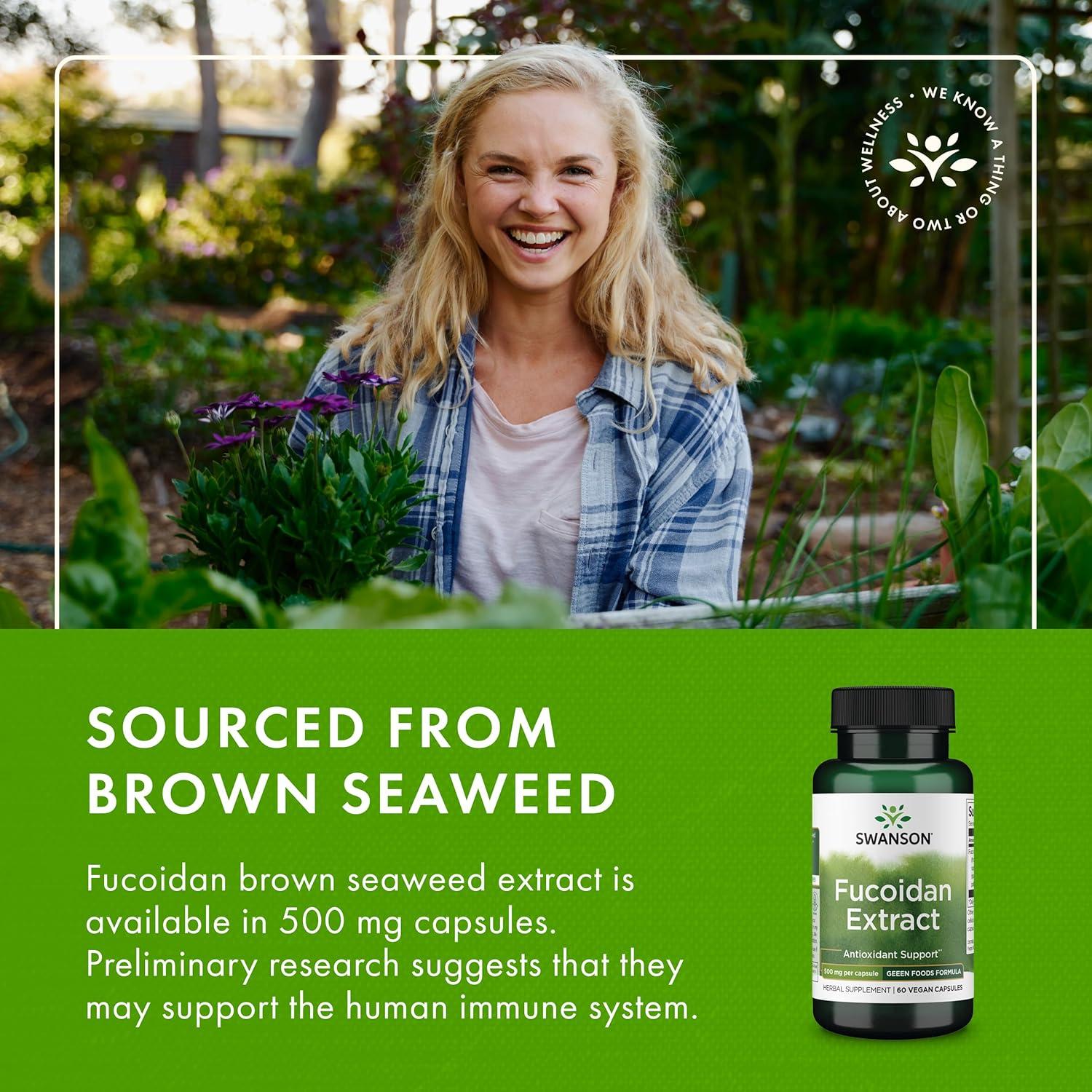 imageSwanson Maximum Strength Fucoidan Extract Herbal Supplement Promoting Immune System Function Natural Formula Supporting Overall Health 60 Veggie Capsules 500mg Each60 Count Pack of 2